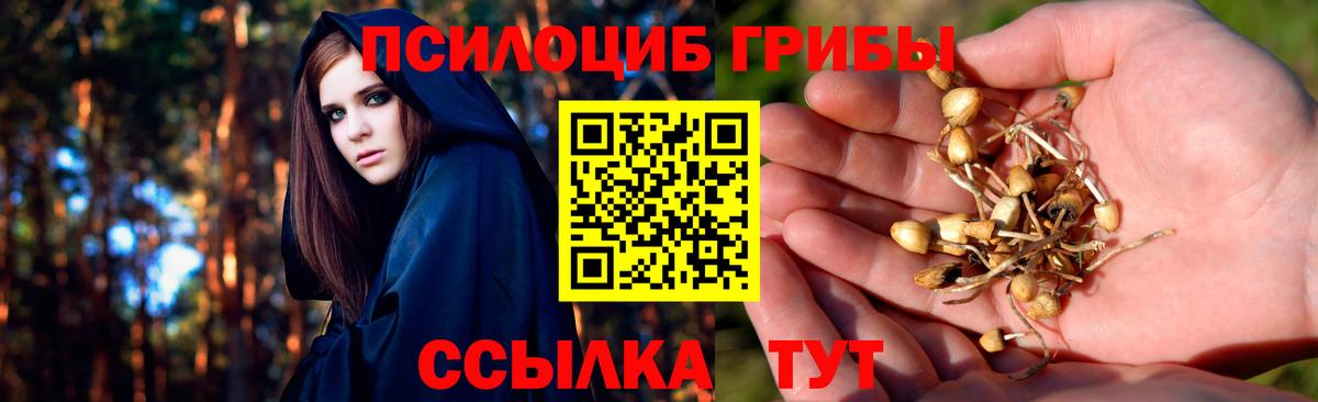 Каменка  Галлюциногенные грибы MAGIC MUSHROOMS  Вход с VPN 